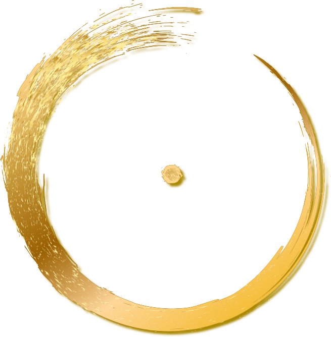 DMT™ Code 1 symbol