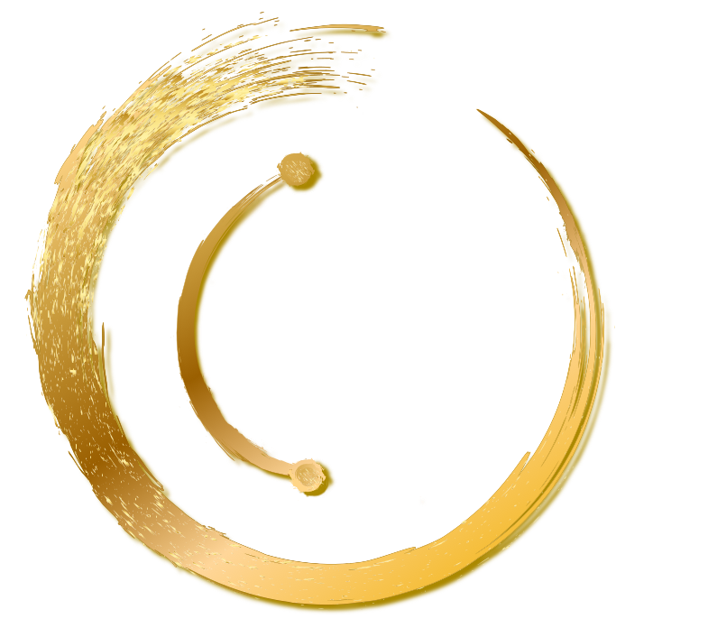 DMT™ Code 2 symbol