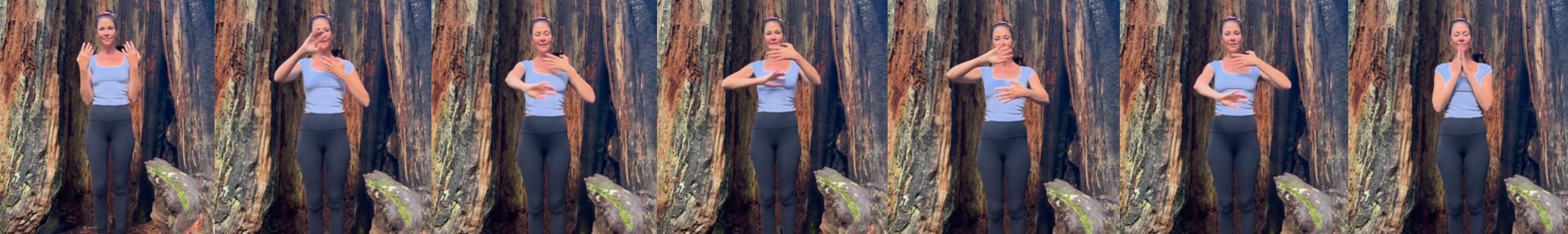 Stills showing the DMT™ Code 4 movement, step by step