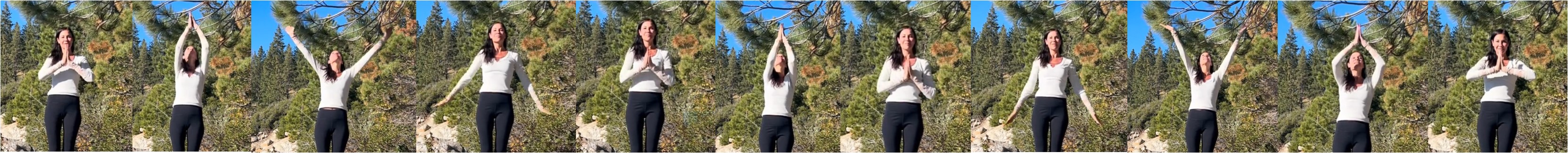 Stills showing the DMT™ Code 8 movement, step by step