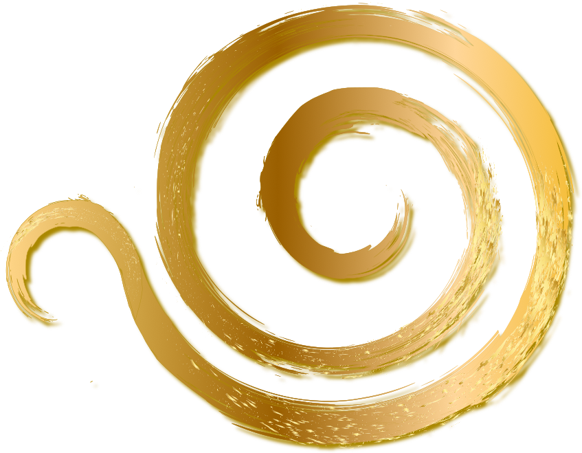 DMT™ Code 11 symbol