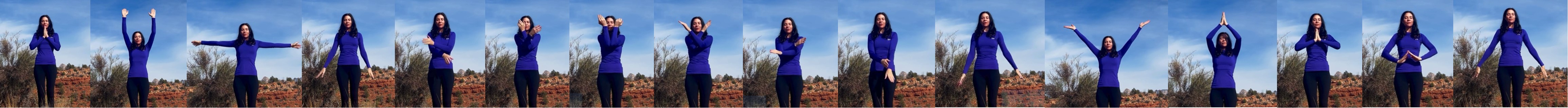 Stills showing the DMT™ Code 11 movement, step by step
