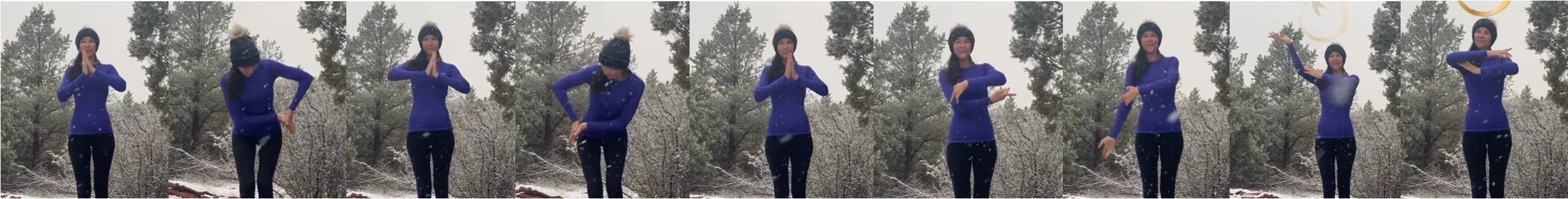 Stills showing the DMT™ Code 22 movement, step by step